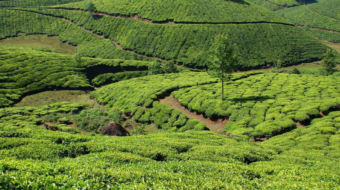 Munnar