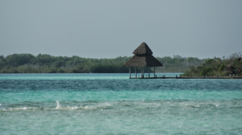 Bacalar