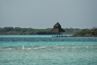 Bacalar