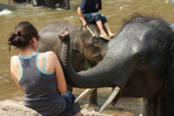 ElephantCamp